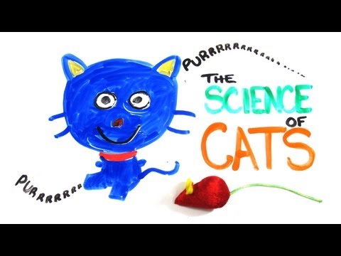 The Science of Cats